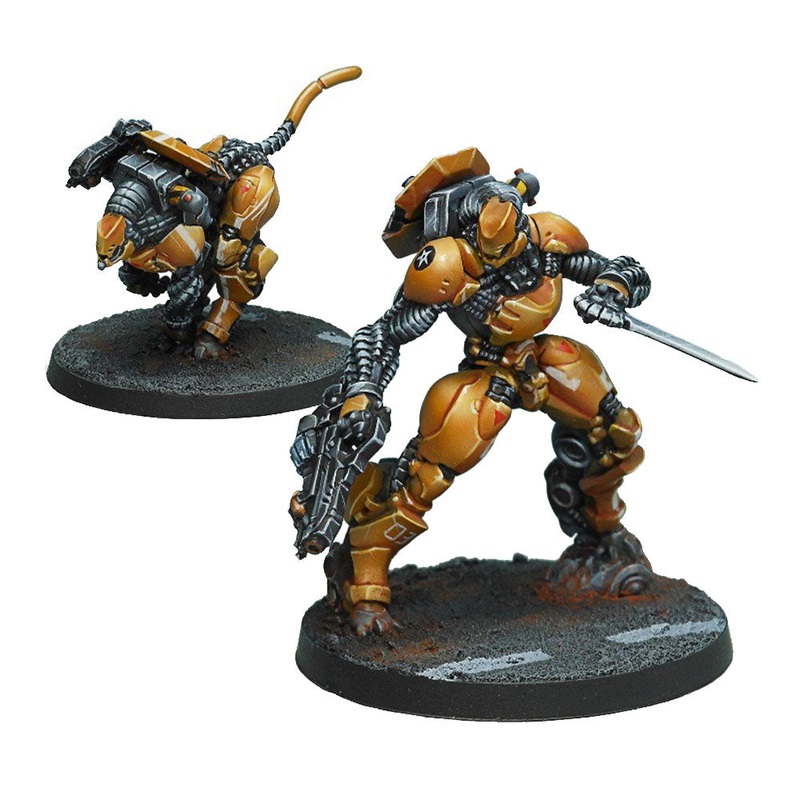 Infinity Yu Jing Miniatures Su Jian Unit d'action immdiate