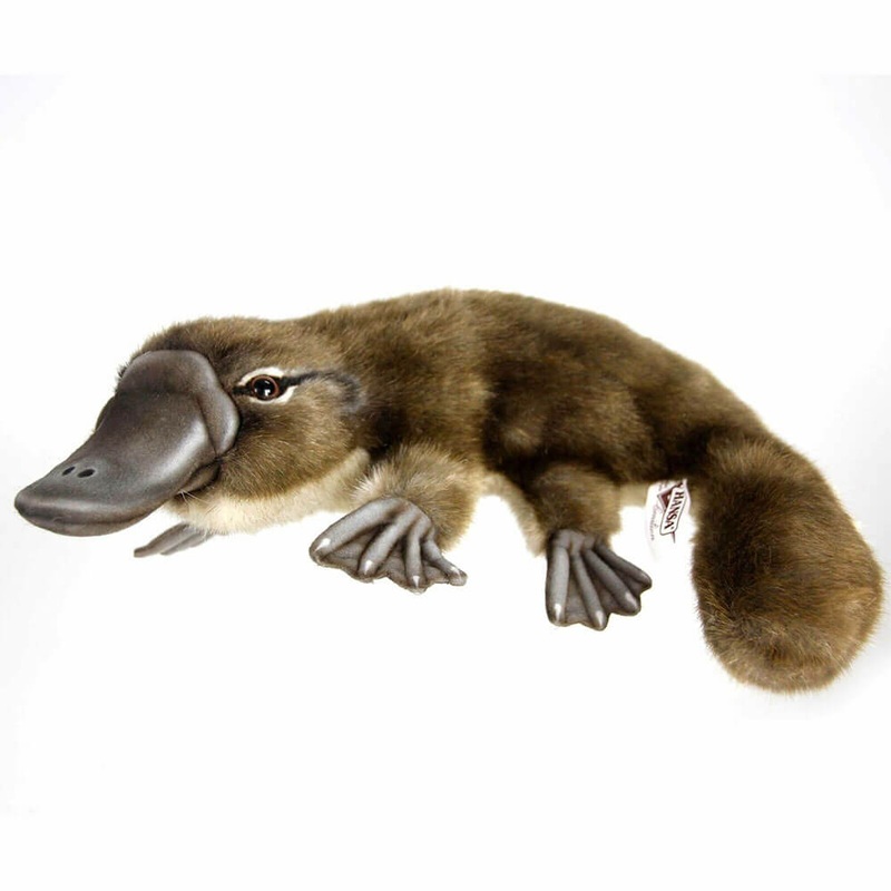 Platpus de Hansa (40 cm)