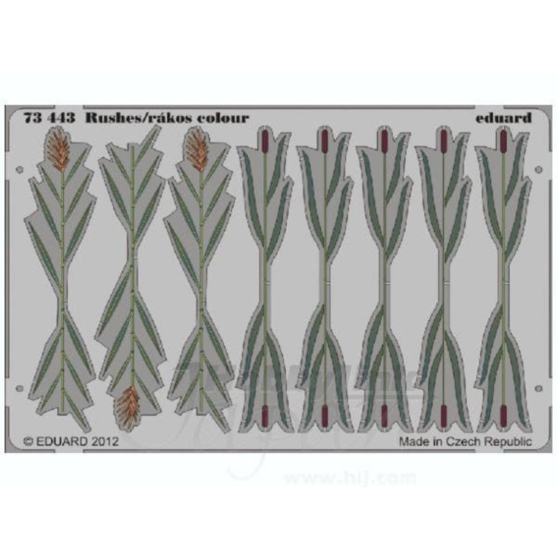 1/72 Rushes (Color)