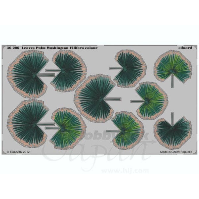 1/35 Palm Leaves Washington Filifera