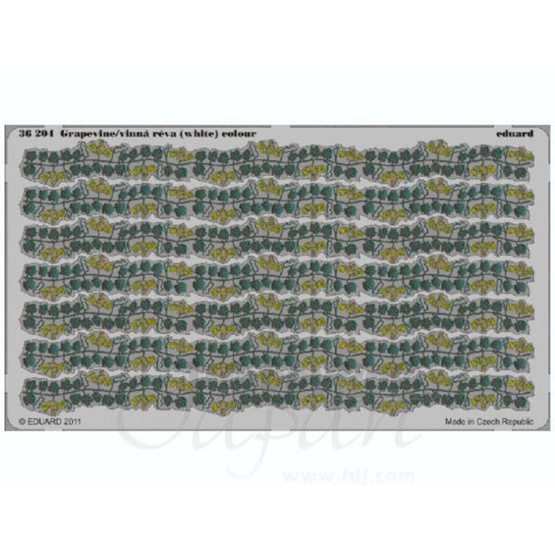 1/35 Grapevine/Vinna Reva (White) Color