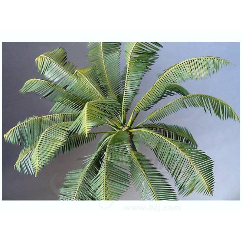 1/35 Coconut Palm II
