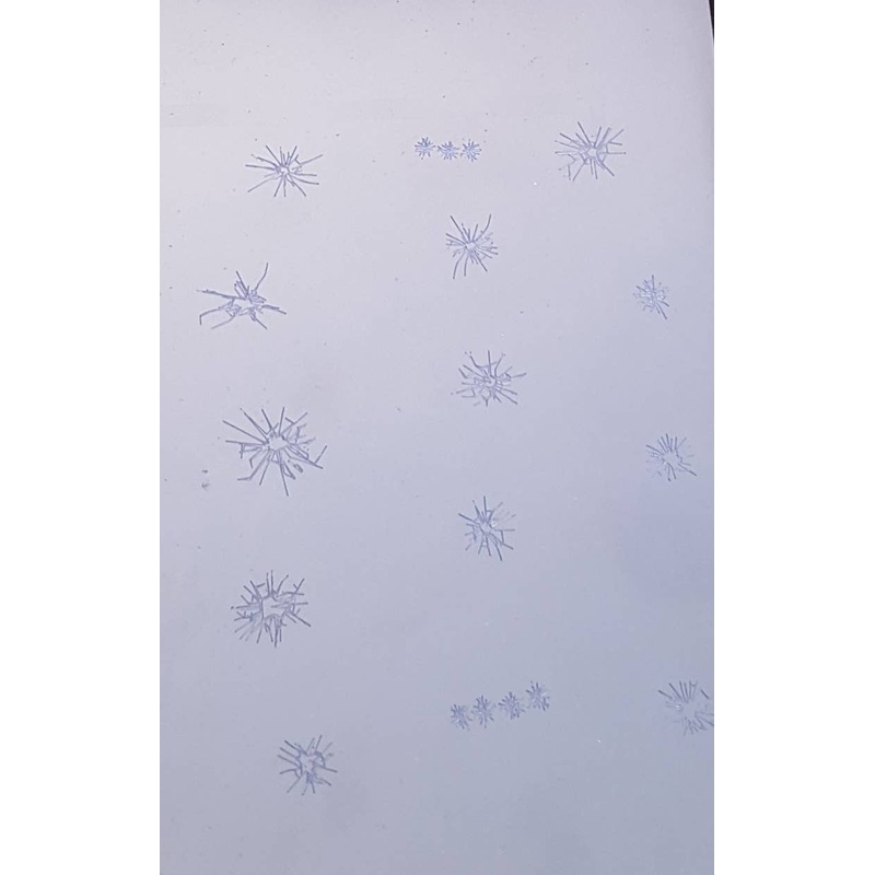 1/35 Gunshot Window (A5-size)