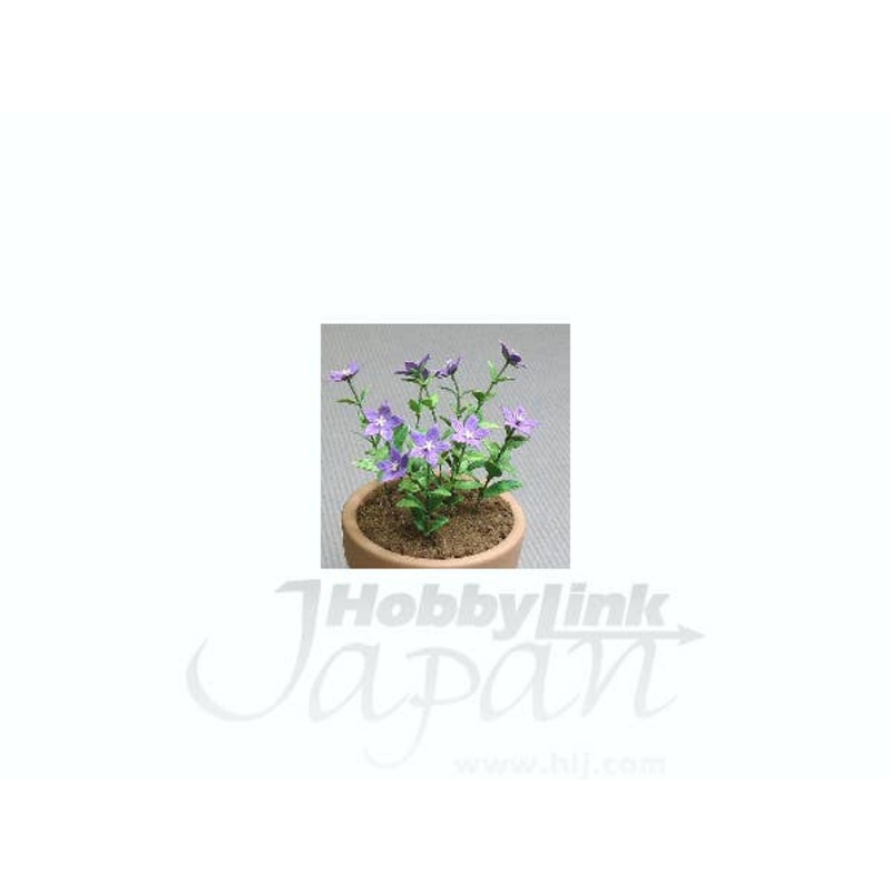 1/12 Bellflower