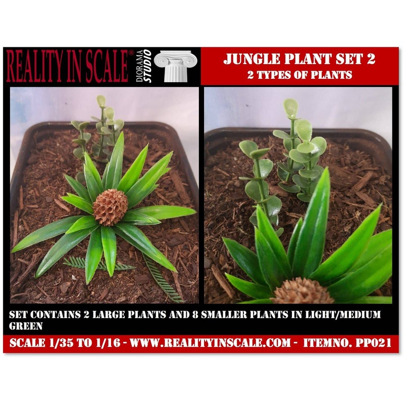 Jungle Plants Set 2 Contains 2 types of plants (1/16 - 1/35)