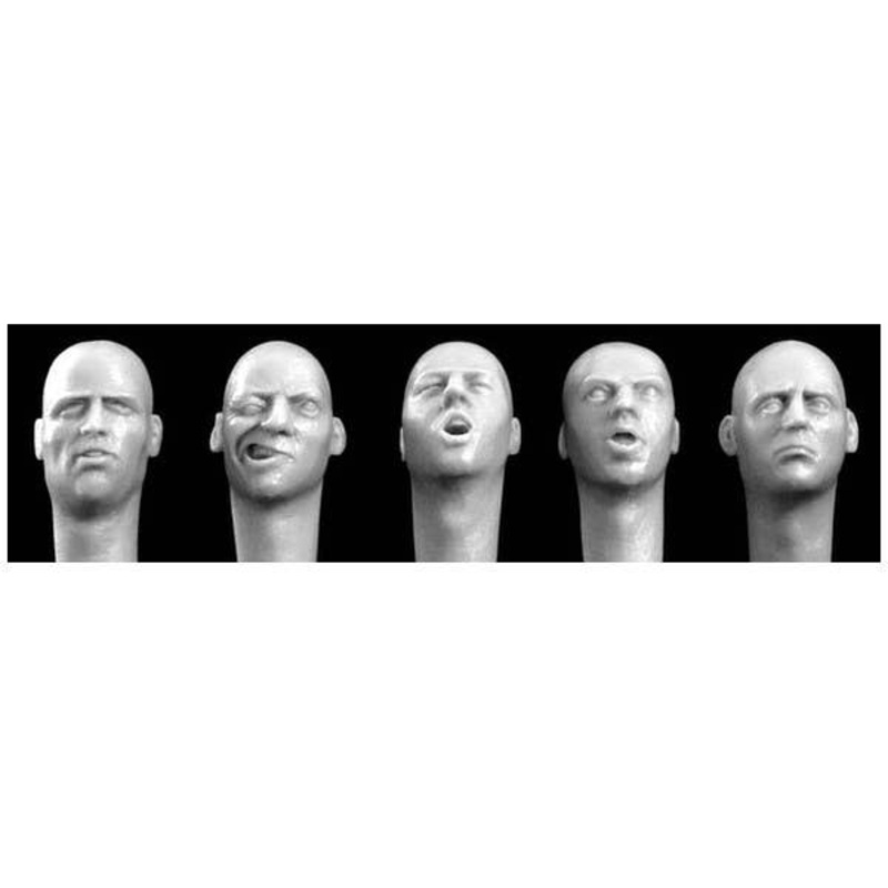 1/35 5 More Varied Bald Heads with European Faces