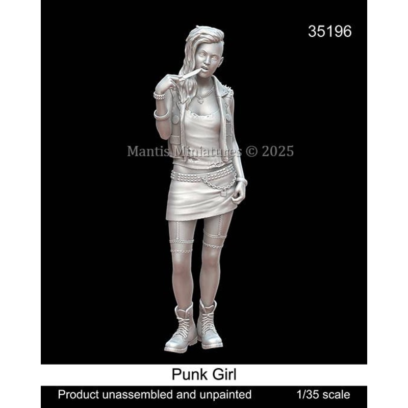 1/35 Punk Girl