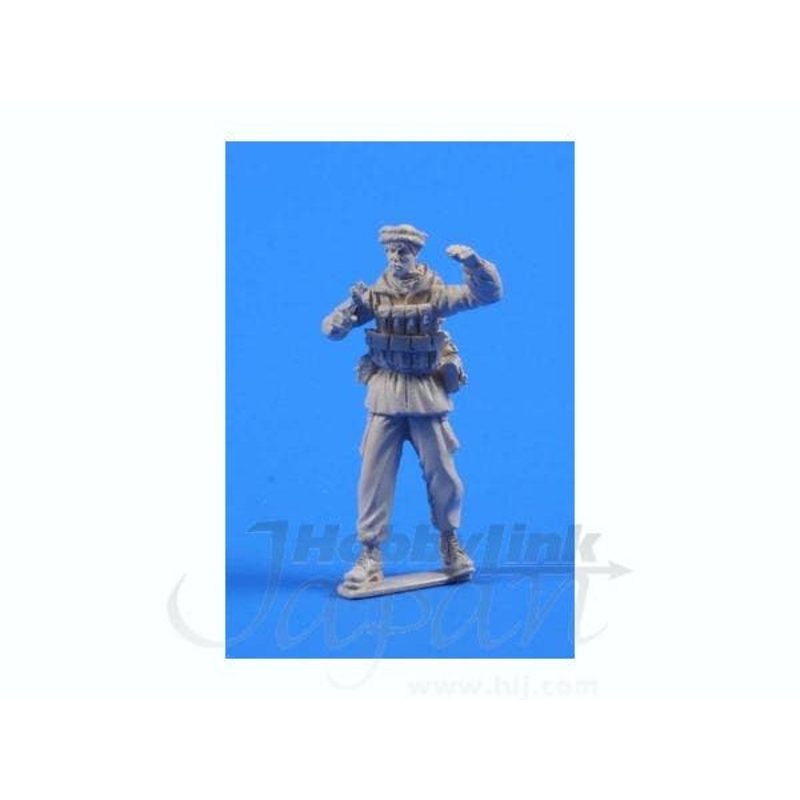 1/35 US Special Forrces Soldier With Gun