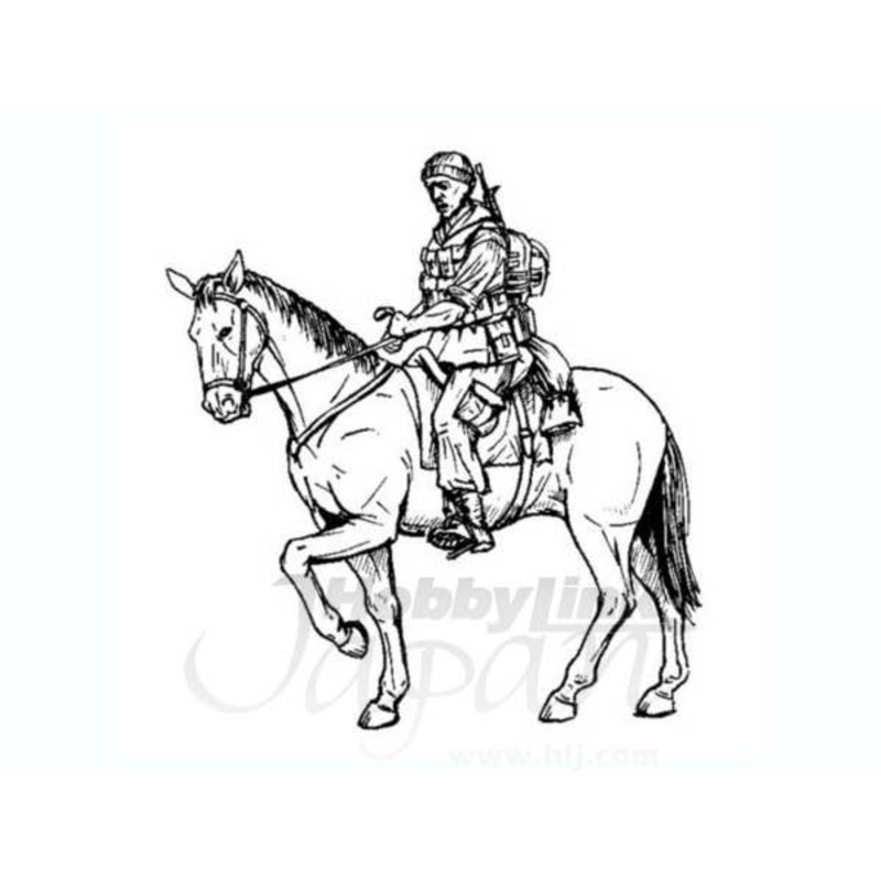 1/35 US mounted soldier in Afganistan 1fig+k