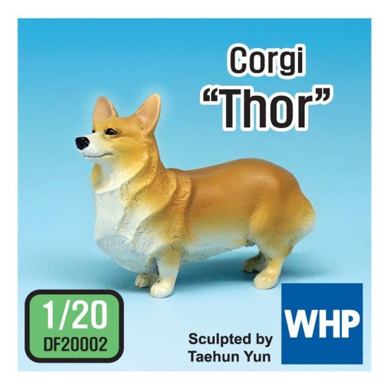 1/20 Corgi Thor