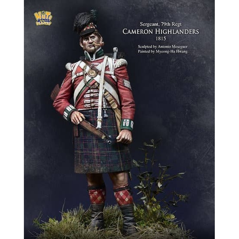 1/24 Cameron Highlanders 1815 Sergent, 79th Regt