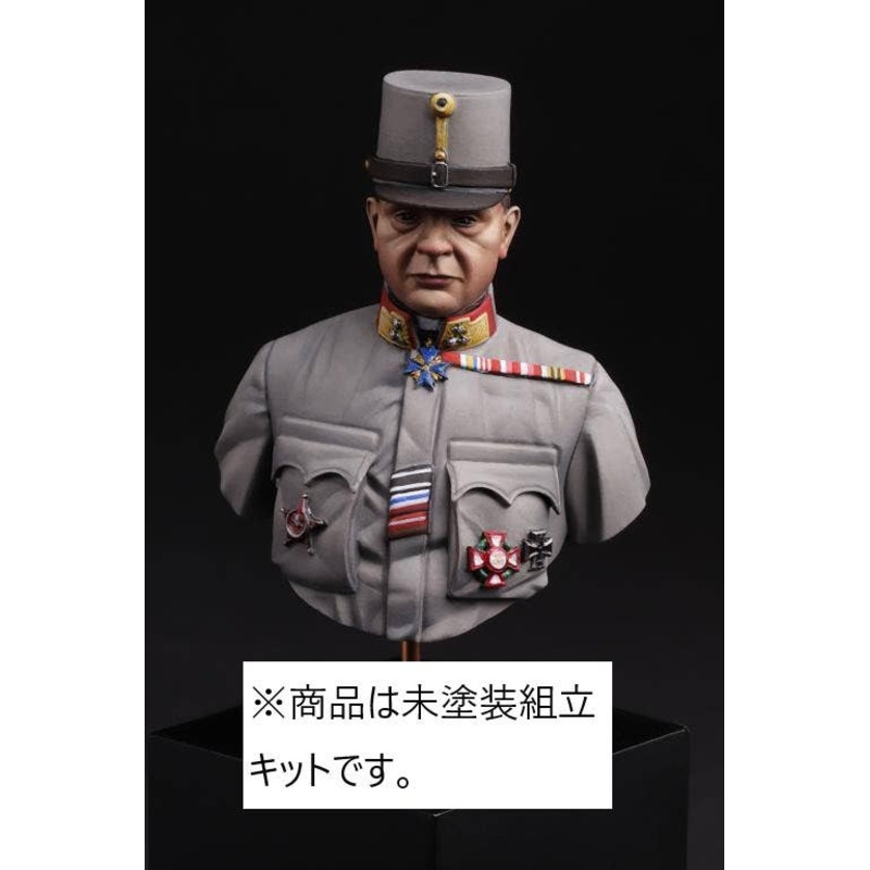 1/16 Austro-Hungarian General WW I Vol II.