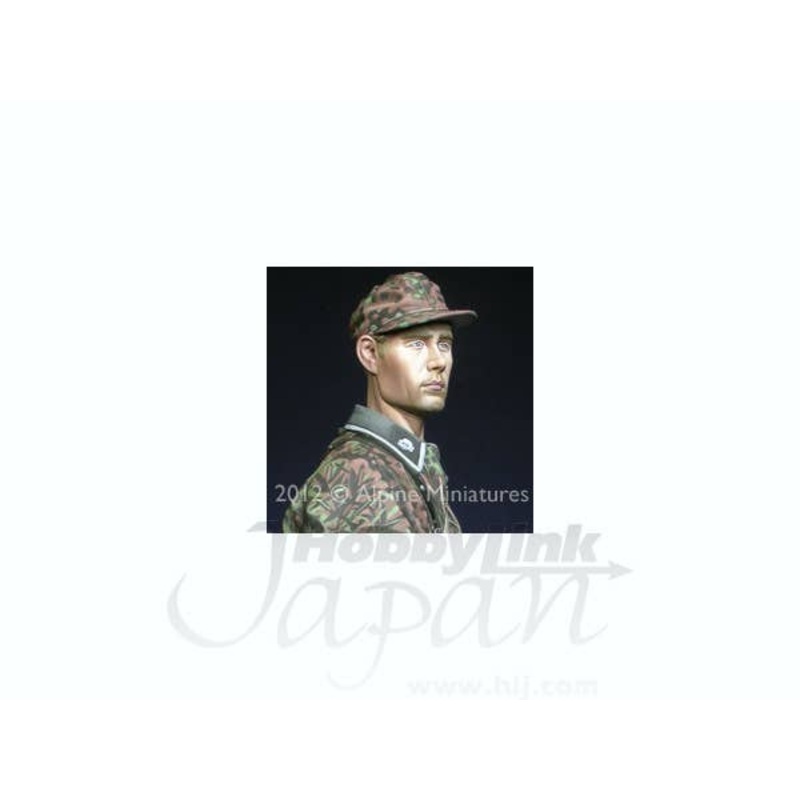 1/16 Totenkopf Grenadier