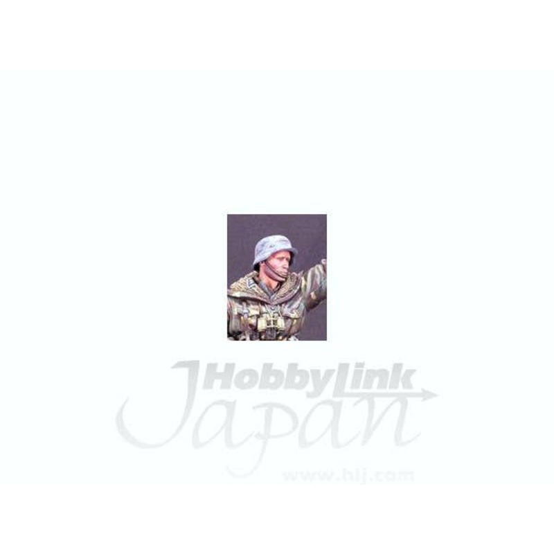 1/16 WSS Grenadier Wiking