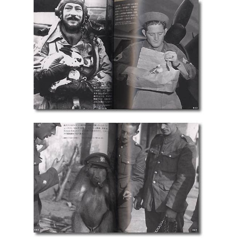 Animals Gone to War Photo Collection