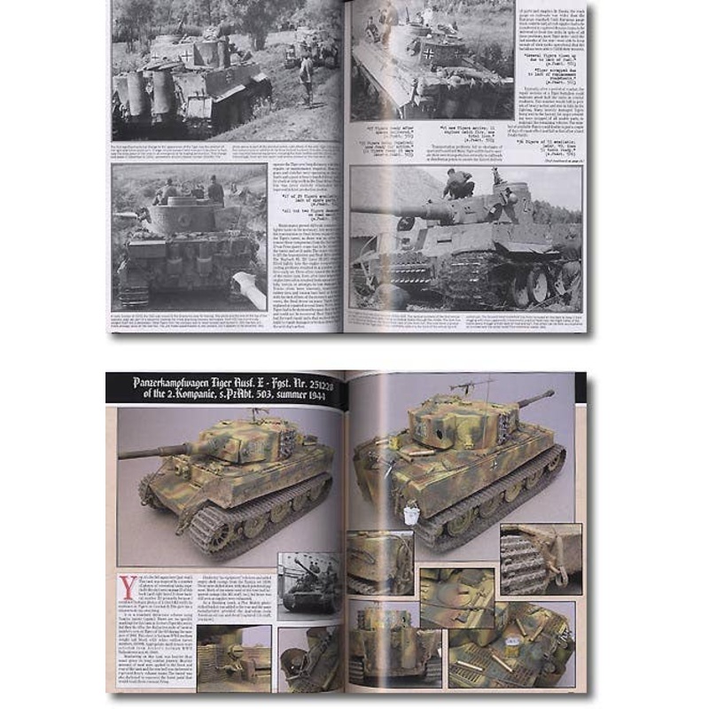 Modeler's Guide to the Tiger