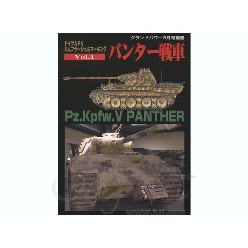 Pz.Kpfw.V Panther Camo & Marking