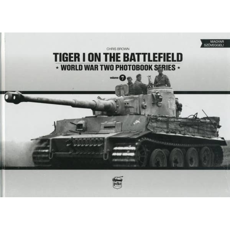 Tiger I On The Battlefield
