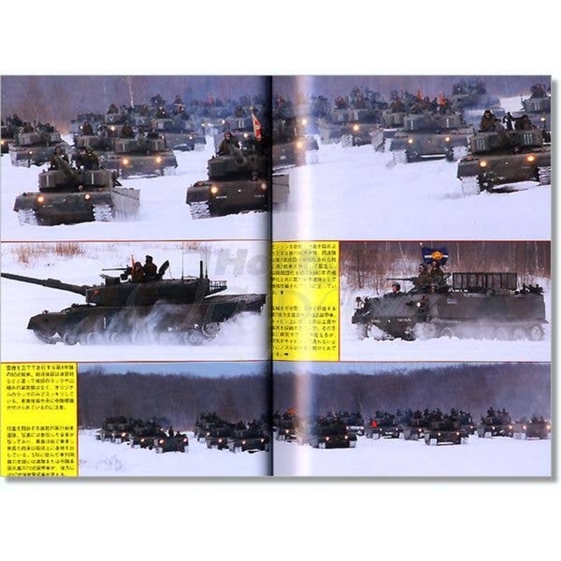 Panzer 2010/05
