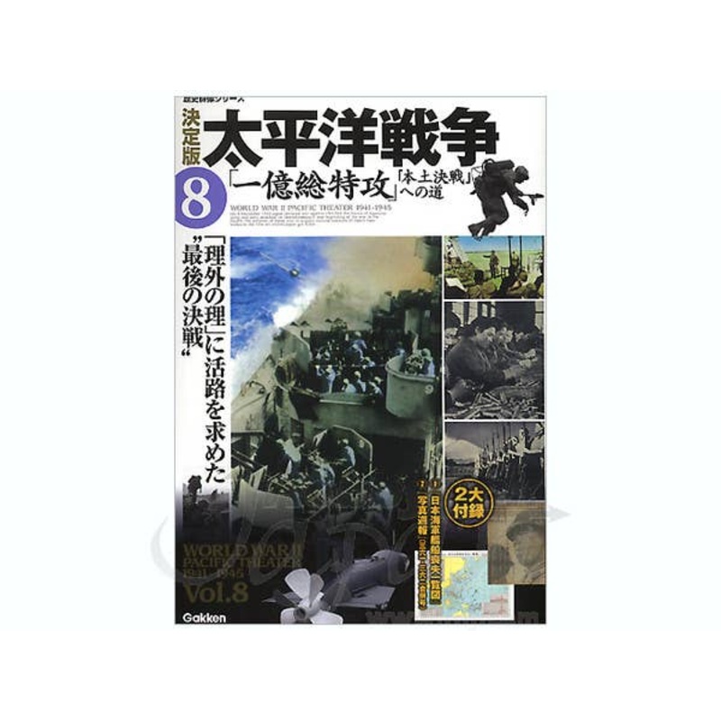 World War II Pacific Theater #08