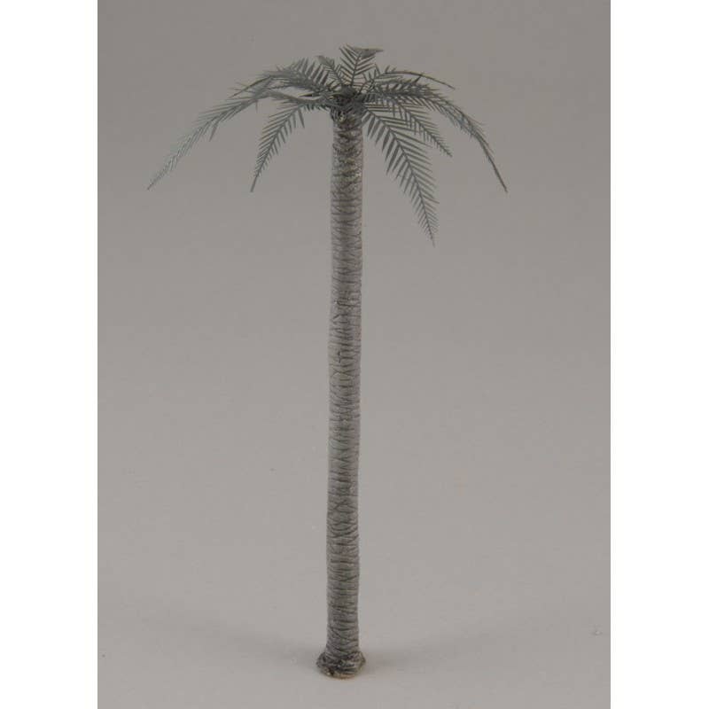 1/72 Palm