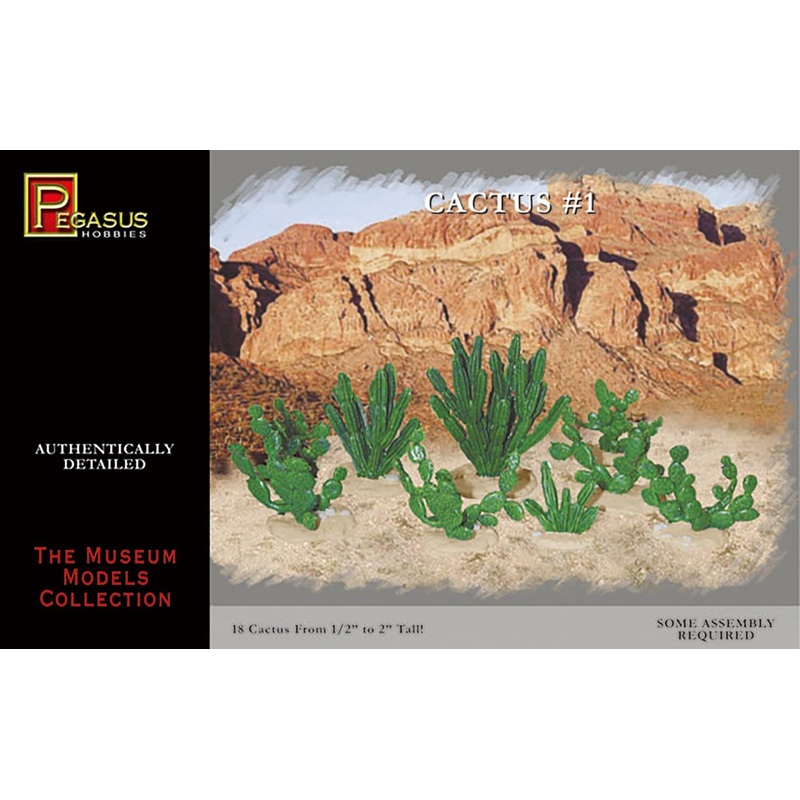 1/48 Cactus #1