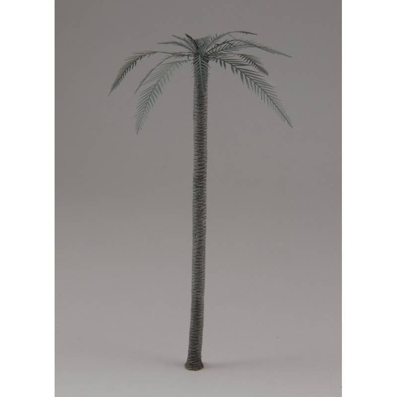 1/48 Palm