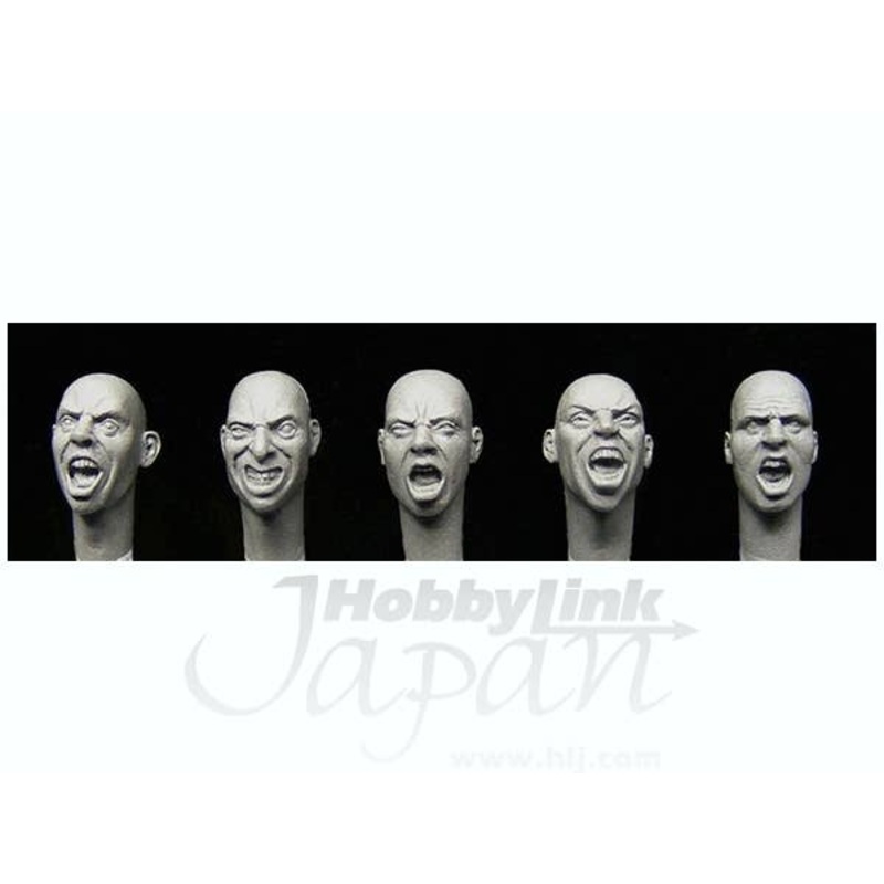1/35 5 Shouting Heads War Faces