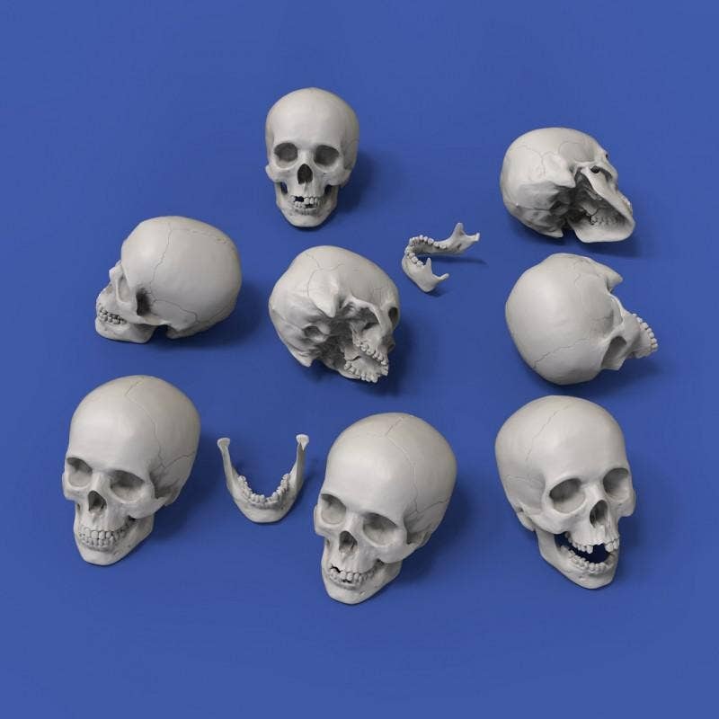 1/35 Assorted Skull 8 Pieces