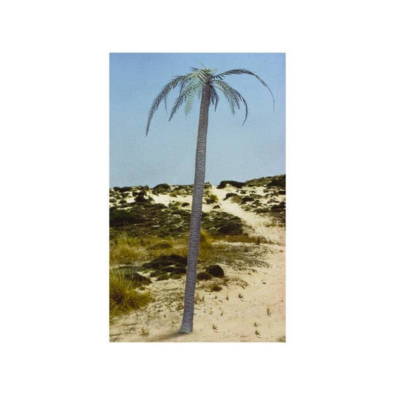 1/35 Palm Tree
