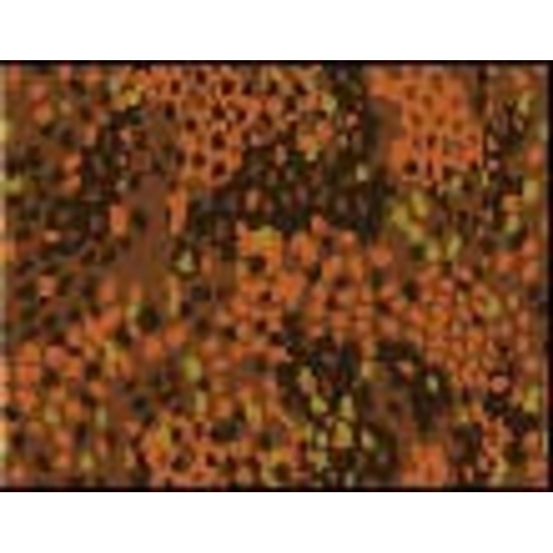 1/35 Pea Dot Pattern,Germany