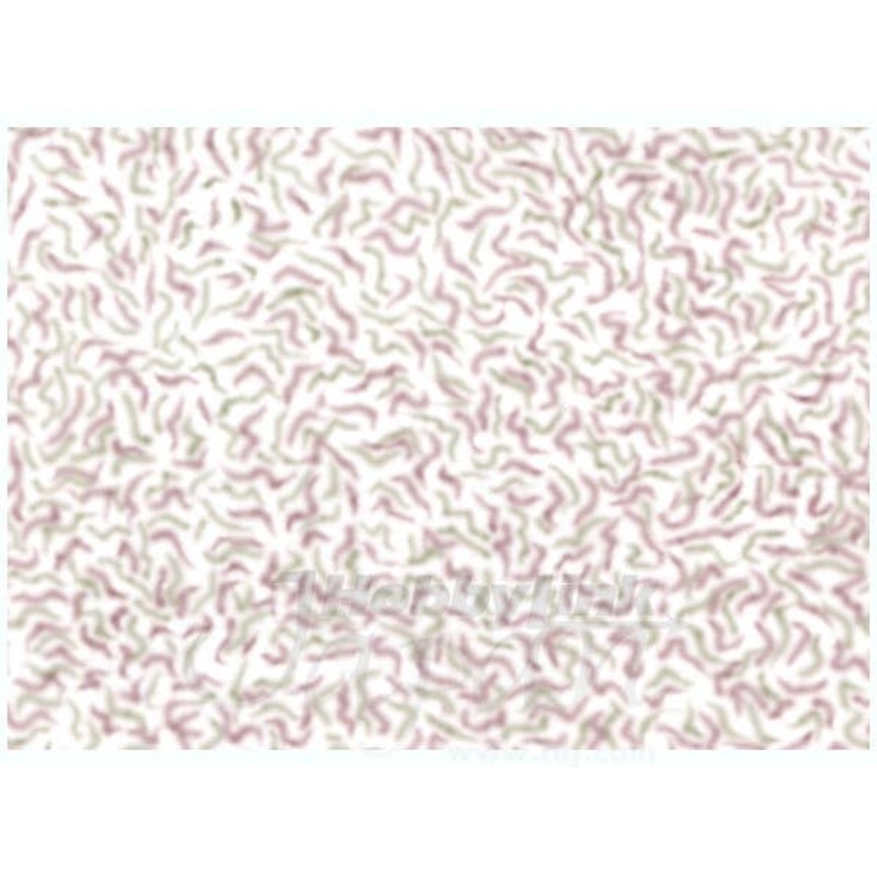 1/35 WWII German 2 Color Camo Pattern A