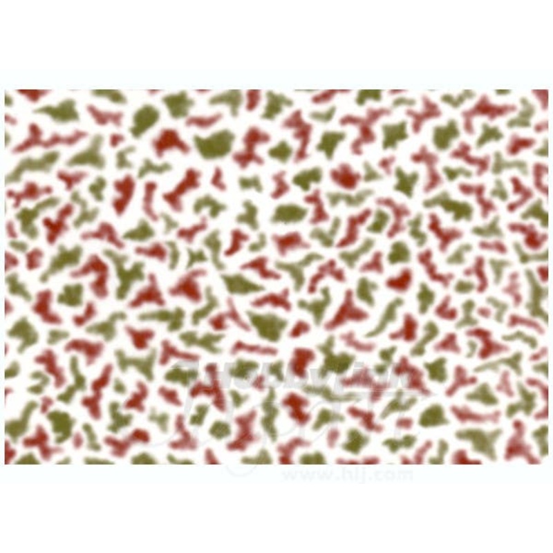 1/35 WWII German 2 Color Camo Pattern C