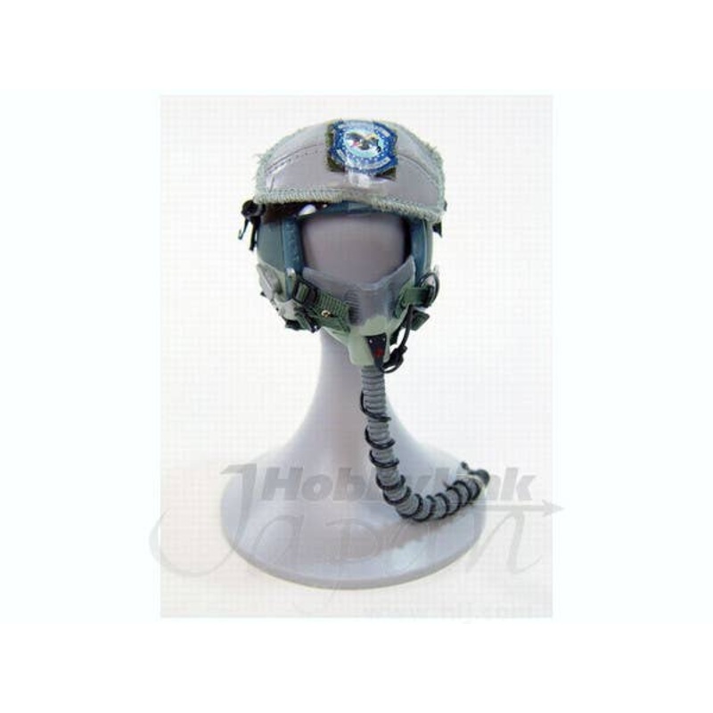 1/6 HGU-55 Helmet for USAF 391st Pilot