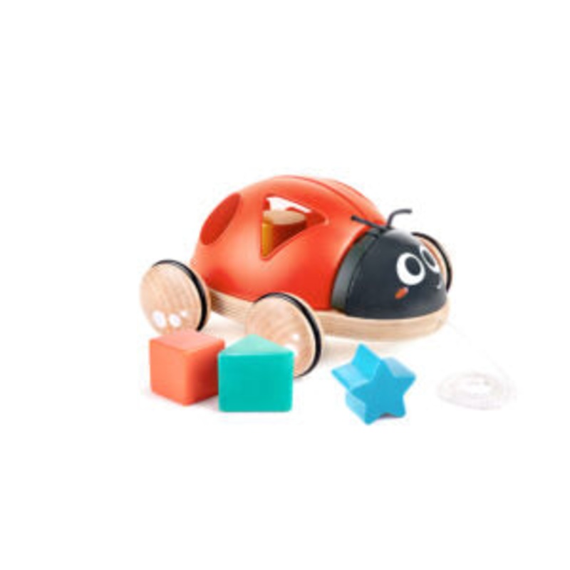 HAPE: SHAPE SORTER LADYBUG