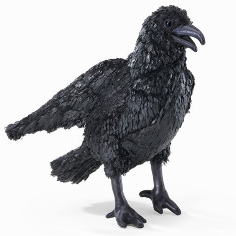 FOLKMANIS: CROW