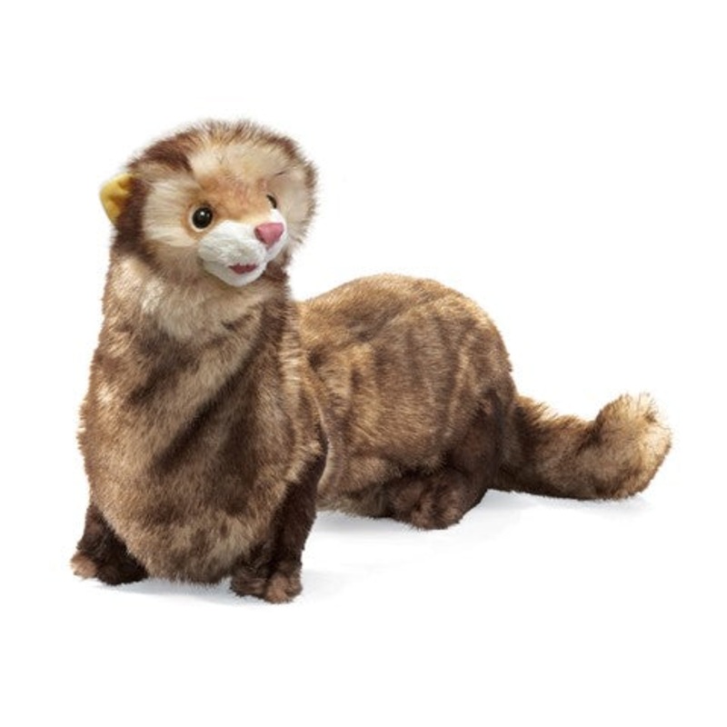 FOLKMANIS: FERRET