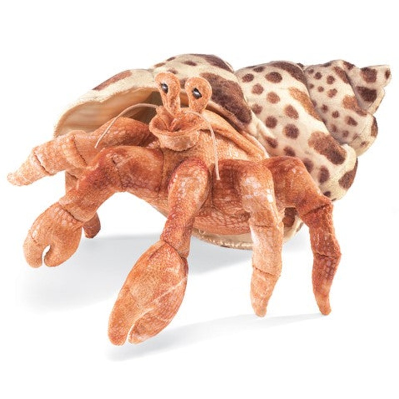 FOLKMANIS: HERMIT CRAB