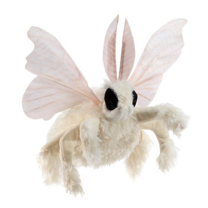 FOLKMANIS: POODLE MOTH
