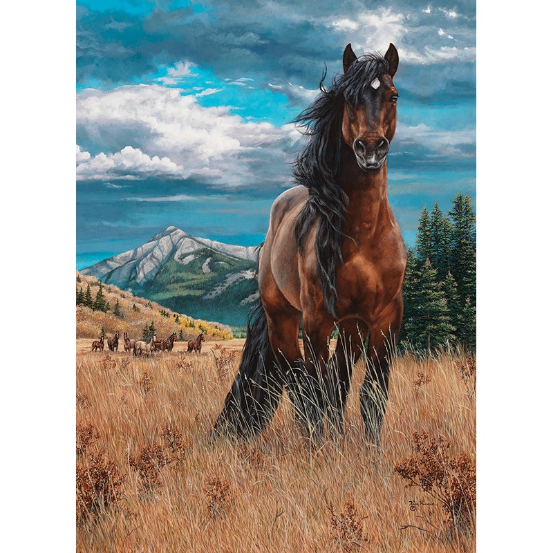 FREEDOM - 1000 PC