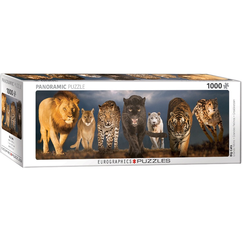 EURO 1000 PC-PANORAMIC BIG CATS