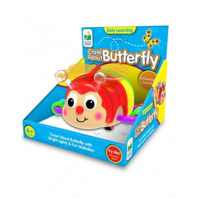 CRAWL ABOUT BUTTERFLY