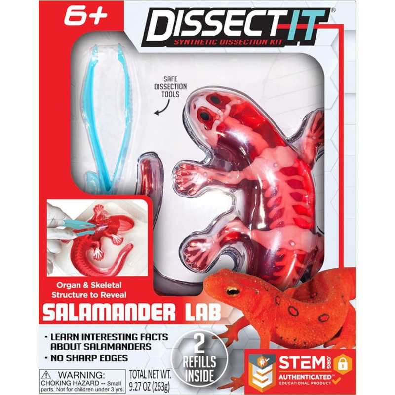 DISSECT IT SALAMANDER