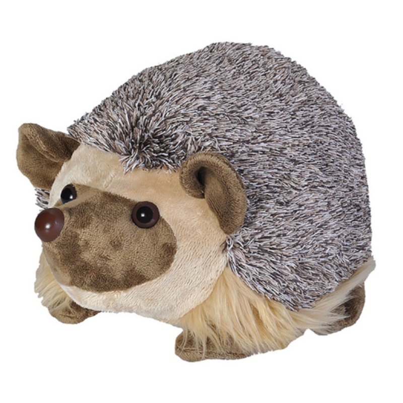 CK 12" AFRICAN HEDGEHOG
