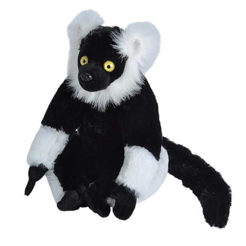 CK 12" B&W LEMUR
