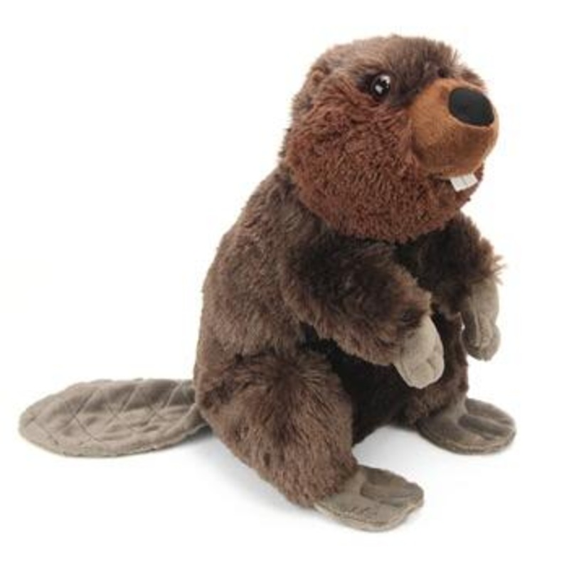 CK 12" BEAVER