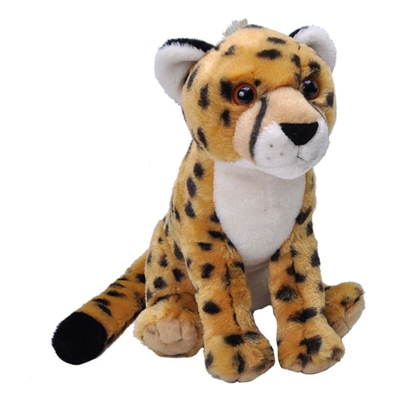 CK 12" CHEETAH