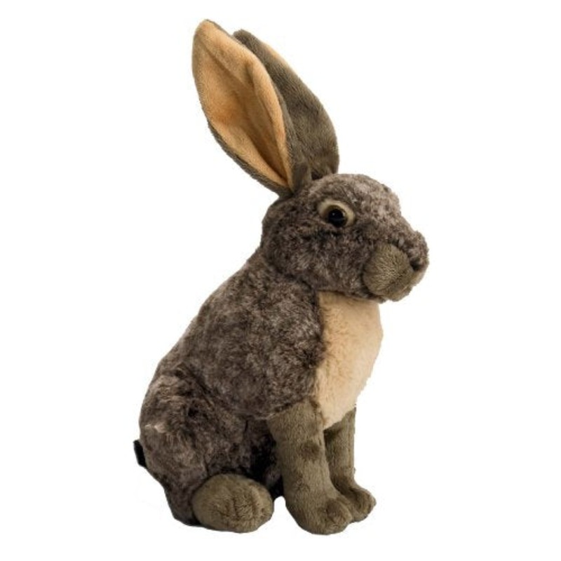 CK 12" HARE