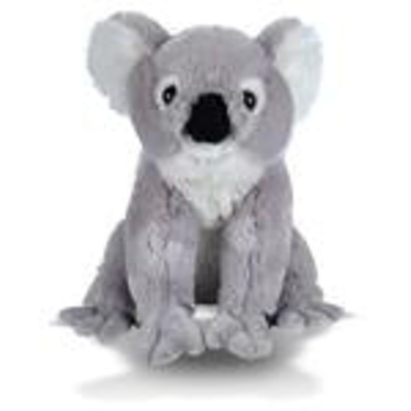 CK 12" KOALA