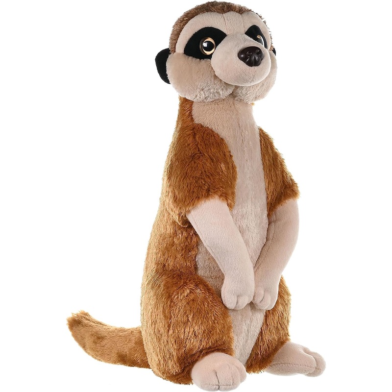 CK 12" MEERKAT